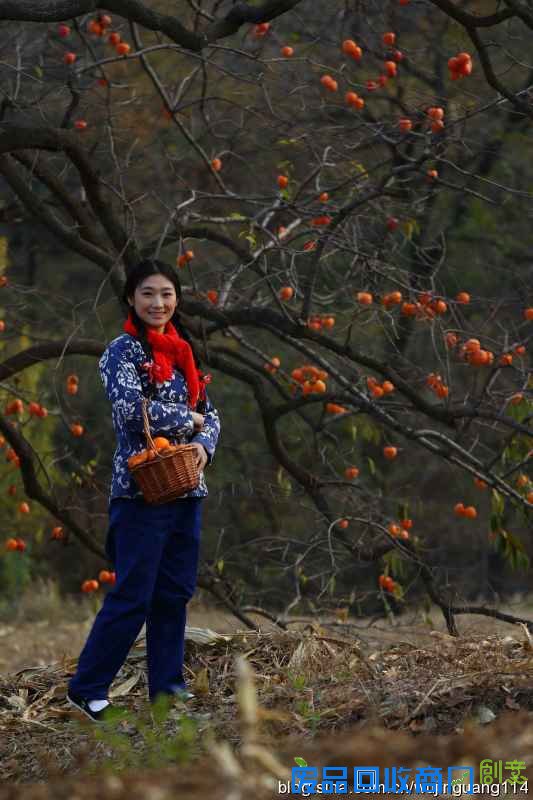 《人像摄影美女村姑浓浓柿乡情(多图)