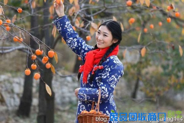 《人像摄影美女村姑浓浓柿乡情(多图)