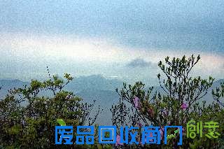 2013广西大明山杜鹃花旅游节圆满谢幕