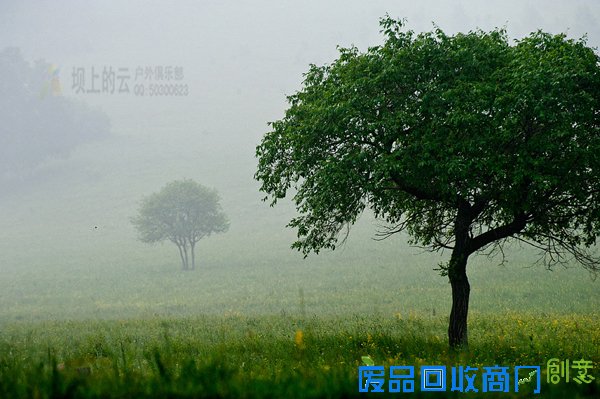 夹皮沟夏季美图欣赏 