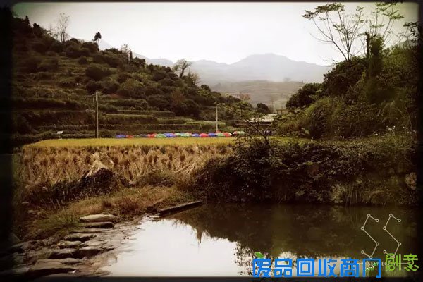 2015寻找最具文化创意的旅游度假村 探访南屏乡