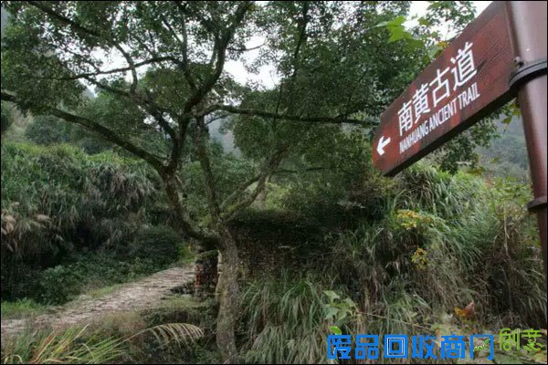 2015寻找最具文化创意的旅游度假村 探访南屏乡