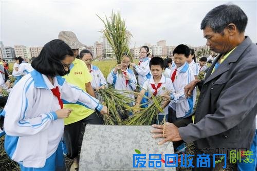 “五谷丰登·五彩农舍”农业文化创意项目体验活动动启动