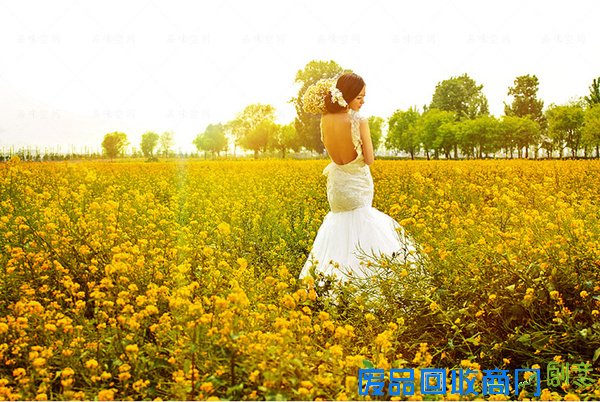 北京婚纱摄影分享拍唯美婚纱照的必知要点