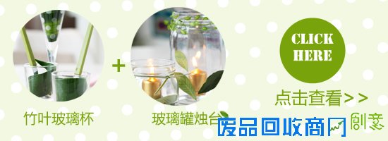 最省钱的扮家创意 用绿叶DIY环保家饰