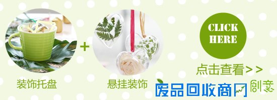 最省钱的扮家创意 用绿叶DIY环保家饰