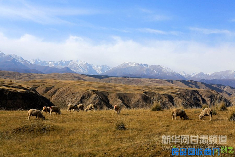 【大美甘肃】祁连山秋色如画（高清组图）