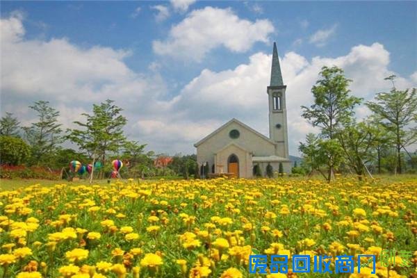 不用去马尔代夫—广东也有婚纱照圣地