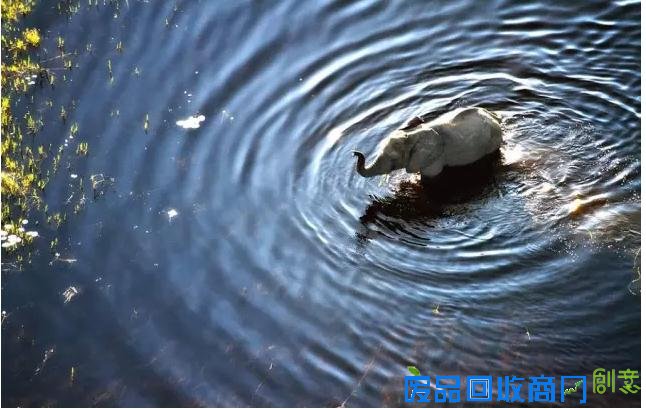 非洲旅游摄影：大量美图出没 流量杀手来了！