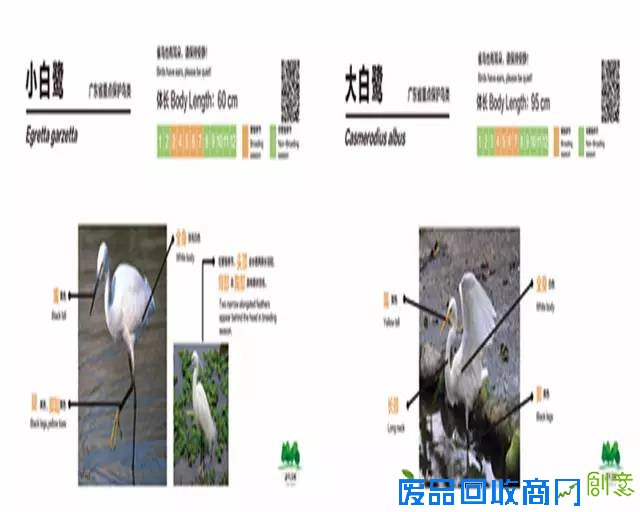 带上相机去海珠湖与鸟儿来场“冬季约会”吧！