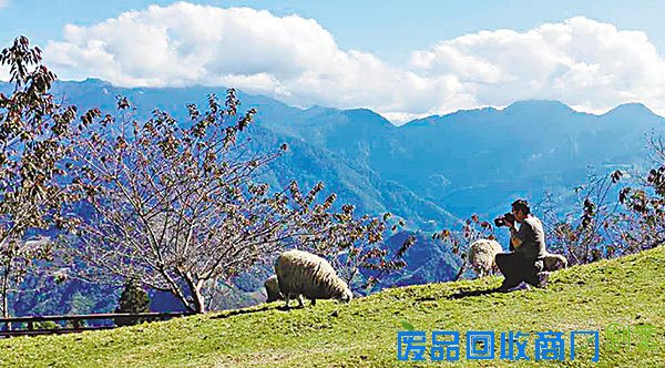 台岛人文：休闲农业玩创意 重建震后新生活