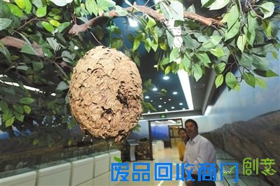 56岁的宁夏昆虫馆免费开放