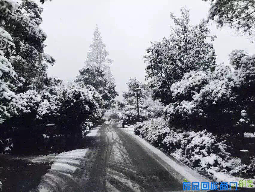 看着照片游杭城，朋友圈杯雪景摄影大赛真是美呆了！