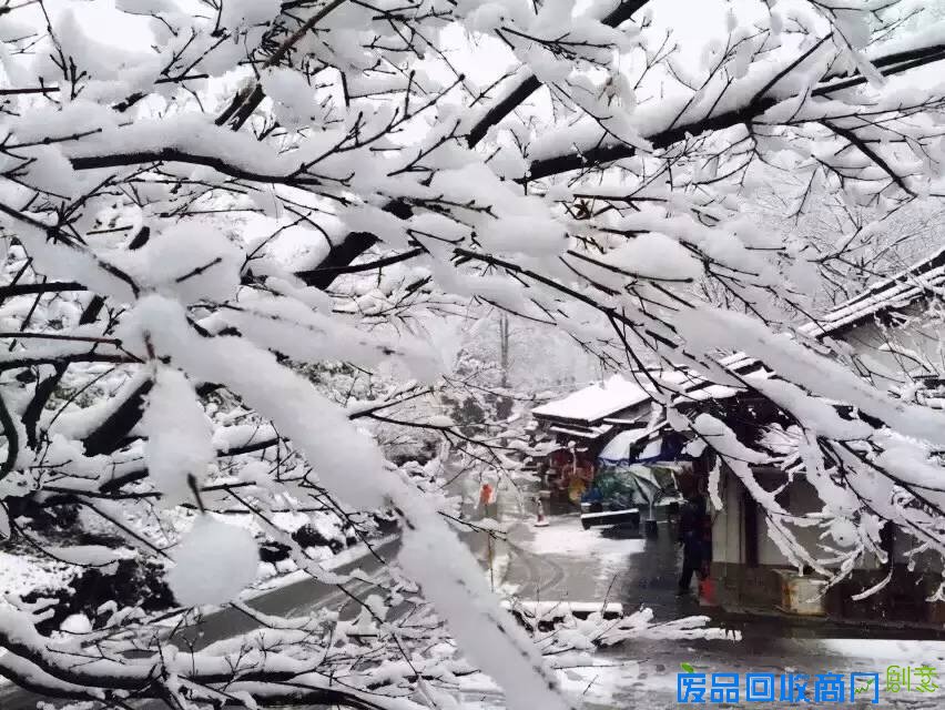 看着照片游杭城，朋友圈杯雪景摄影大赛真是美呆了！