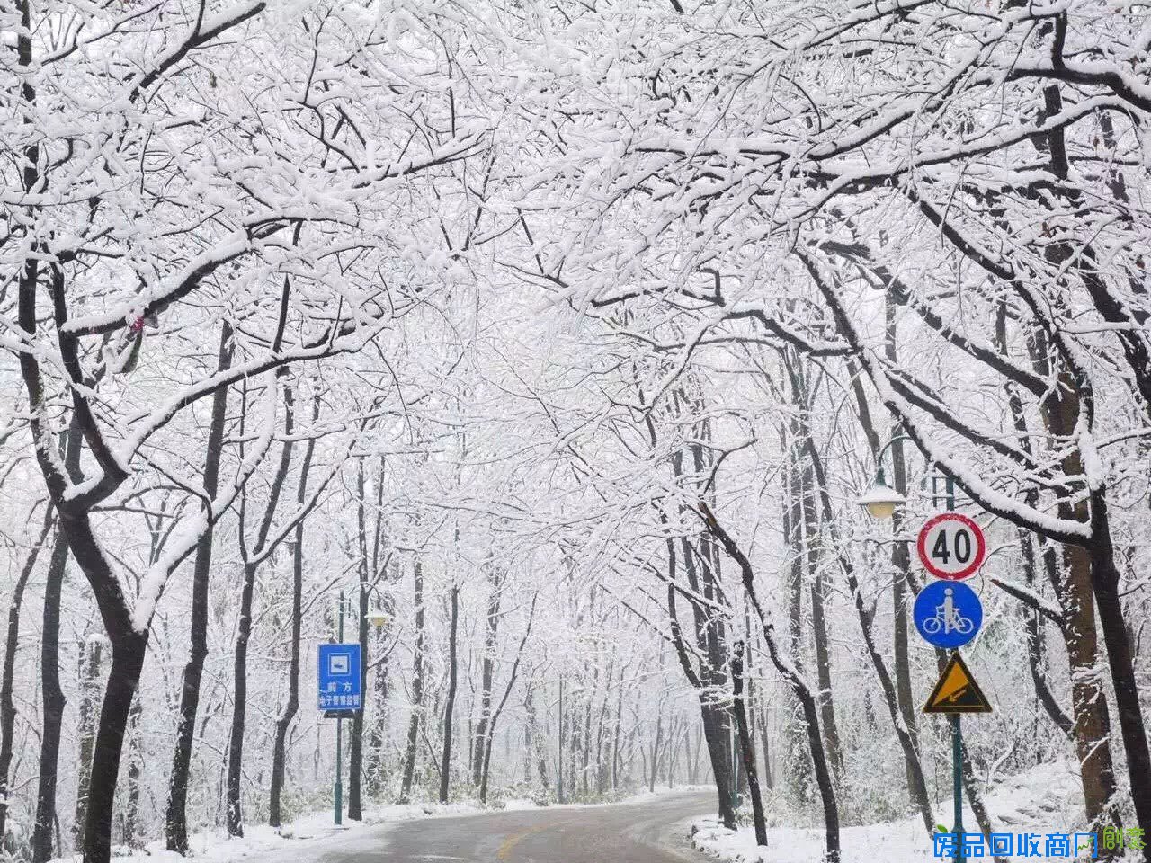 看着照片游杭城，朋友圈杯雪景摄影大赛真是美呆了！