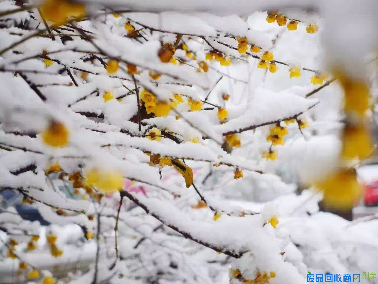 看着照片游杭城，朋友圈杯雪景摄影大赛真是美呆了！