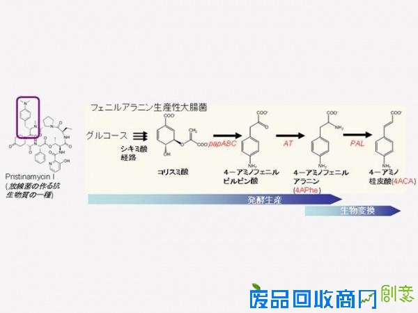  大肠杆菌“造”出耐400摄氏度高温的塑料