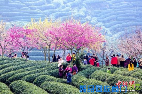 游客岳飞观前打“秦桧”