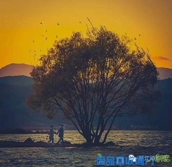 去丽江旅拍婚纱照或旅行写真，几月份的景色最美？什么季节最漂亮？12