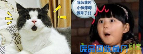 大牌们推出的猴年限定 这是要上天啊