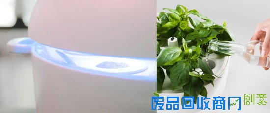  智能花园Plantui 足不出户吃到新鲜蔬菜