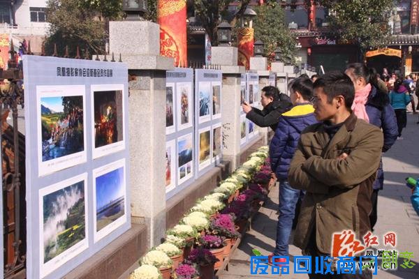 凤凰县举办迎新春书画摄影作品展