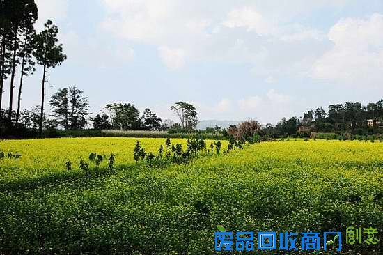 “蓝天配朵夕阳在胸膛缤纷的云彩是晚霞的衣裳”，前往巴塔利村