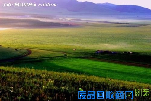 三朵奇葩 空中草原的雪绒花和蔚县剪纸