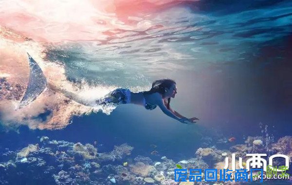 比周星驰《美人鱼》还梦幻的“人鱼婚纱照”