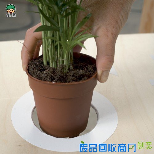 创意DIY绿色植物花盆小桌简单制作教程 趣味生活