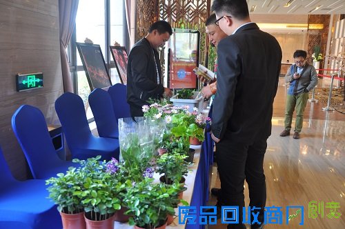 中国铁建青秀城:拥抱春天 盆栽DIY播种绿意