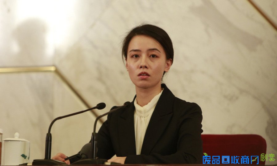 盘点历届两会上的美女翻译