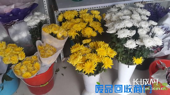 用于祭祀的菊花摆放在店内显眼位置