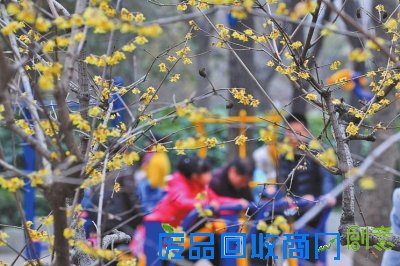 民俗闹春银月俏 元宵为年画句号 在欢声笑语中感受民俗