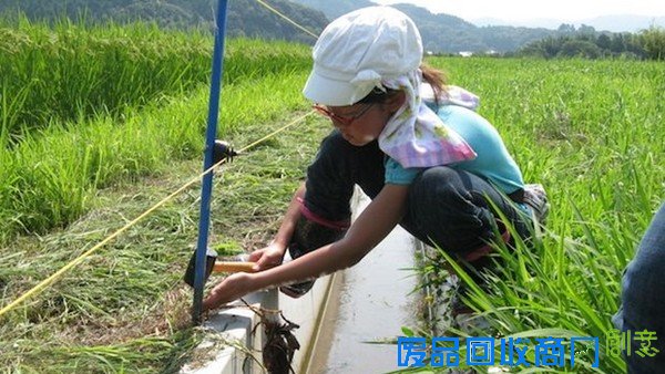 昆蟲也會選超商?日中學生研究...OK便利商店最受歡迎