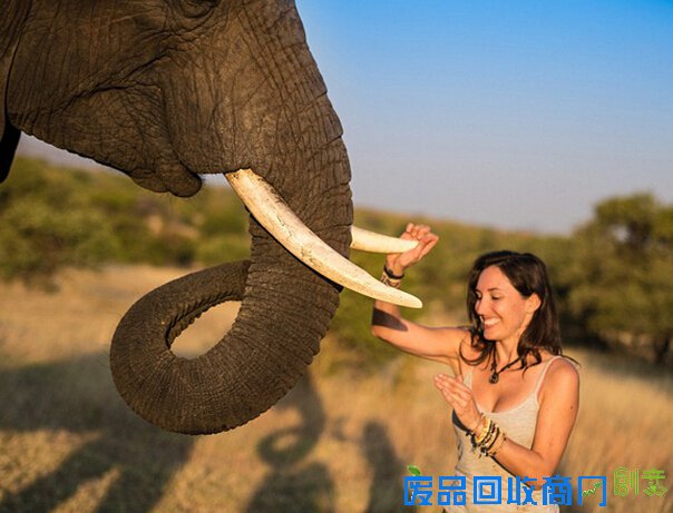 真实版美女与野兽 摄影师探险与动物友爱牵手（组图）