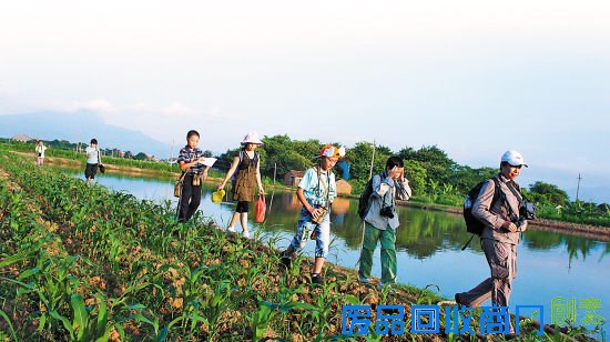 迎着晨曦，漫步田野搜寻鸟儿身影