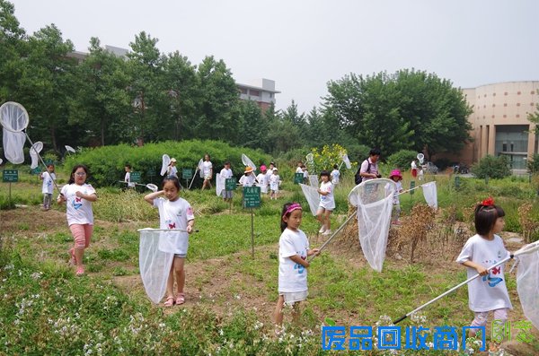 《凤凰网》蝴蝶文化主题夏令营奏响夏日科普主旋律