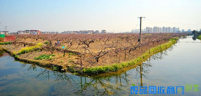 配图-外来资料-闵志贤