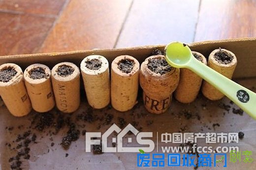 自己动手DIY绿色多肉植物 打造指尖上的花园