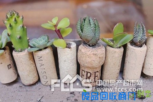 自己动手DIY绿色多肉植物 打造指尖上的花园