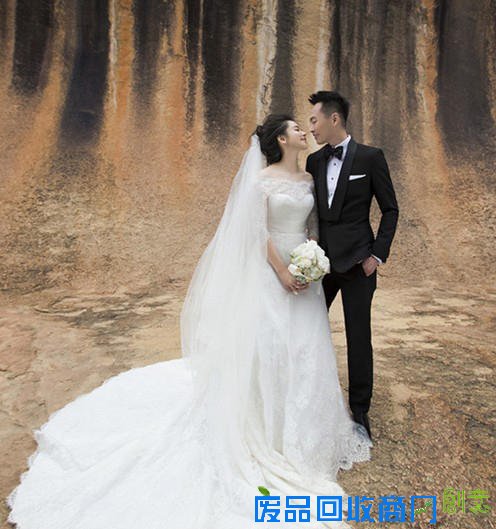 刘诗诗穿300万婚纱宛若仙子 女星婚纱照谁最美