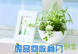 春节客厅装饰：细节中见品质