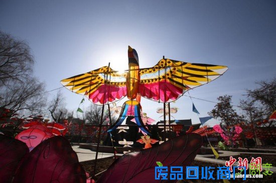 重庆“羊明星”游街迎新年