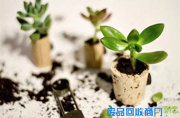 【手工DIY】别再买花瓶了，教你不花一分钱做盆栽！