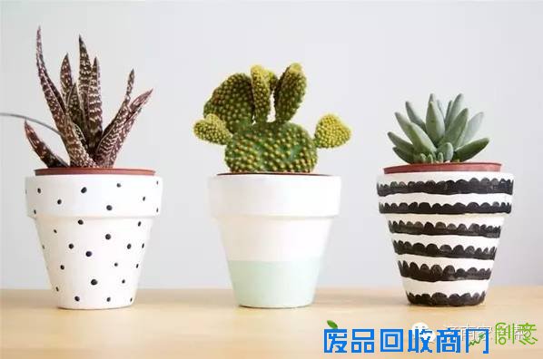 【手工DIY】别再买花瓶了，教你不花一分钱做盆栽！