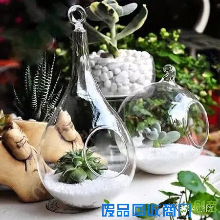 DIY多肉植物装饰小物~少女心泛滥