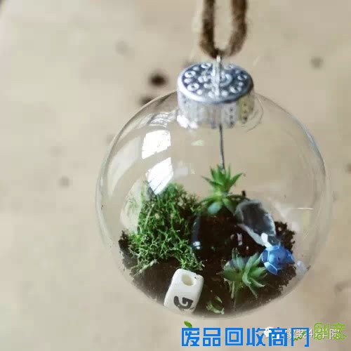 DIY多肉植物装饰小物~少女心泛滥