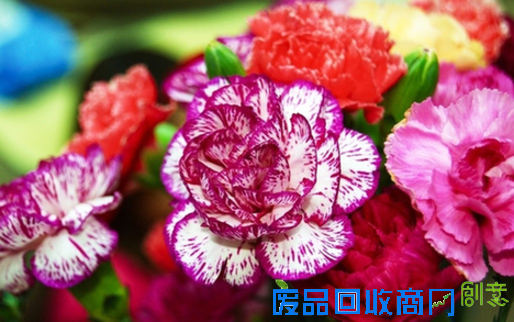 教师节送什么礼物好？ 2016年教师节创意礼物大全（组图）