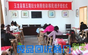 玉龙县移民局组织移民点妇女开展手工刺绣中国财经新闻网